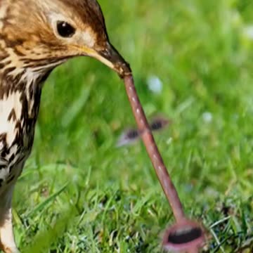 Ugh, Leave me ALONE!