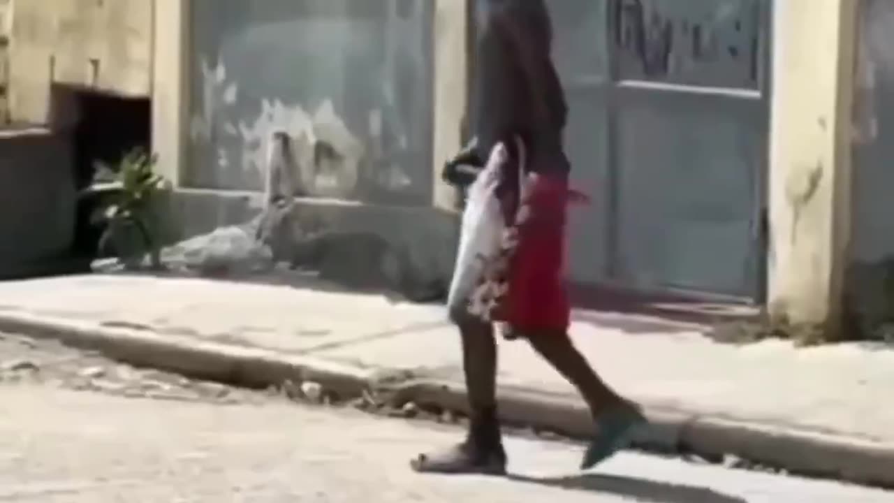 Funny video