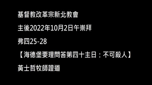 【海德堡要理問答第四十主日:不可殺人】