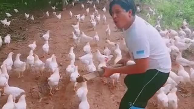 Chicken Sparta