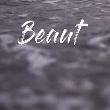 😮BABY SEA TURTLE🐢JUMPING IN OCEAN 🌊