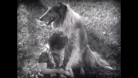 The cute little vintage footage about dogs from back in the 1940s.