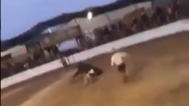 Funny vídeo.