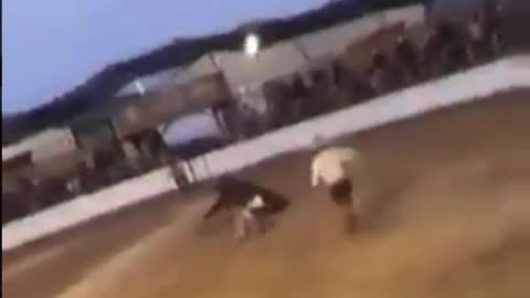 Funny vídeo.