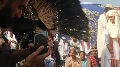 Peacock Dance, Beautiful performance