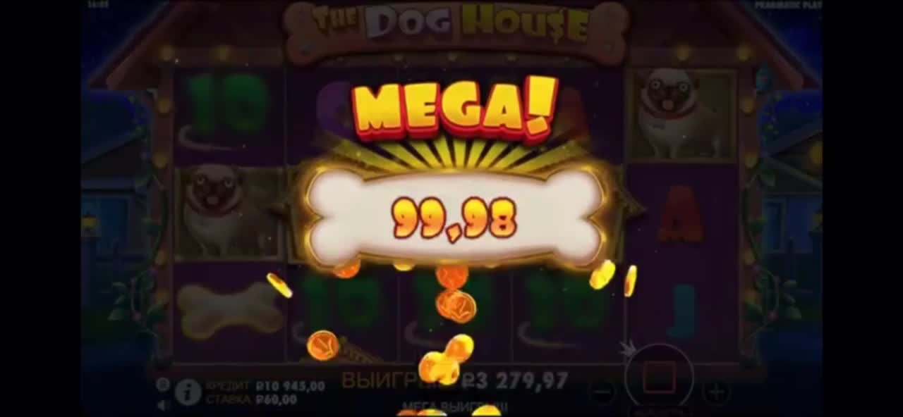 Casino online🤩 Caught a bonus in the dog house!!! 🤗🤩😱