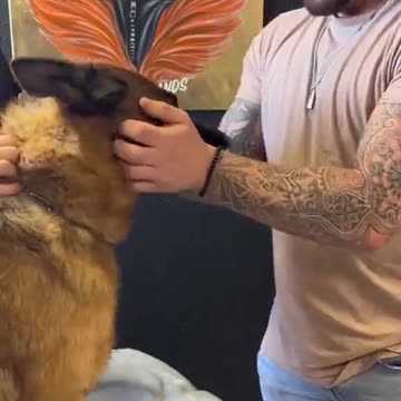 Anti-Loosh Video Number 150. LOOSH is real and bad. Explained below and watch the video