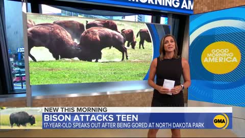 Teen details injury by a bison at national park in North Dakota