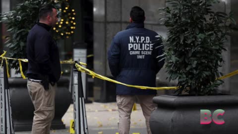 Words are found on shell casings where UnitedHealthcare CEO was shot dead