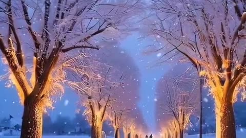 Beautiful world