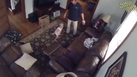 Absurd Things Were Caught by Security Camera