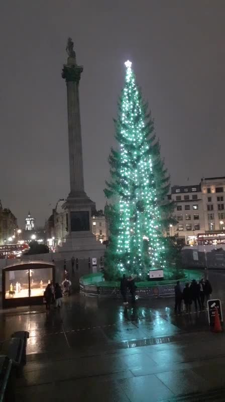 Christmas tree Trafalgar