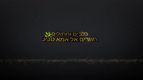 מה כלבים יעדיפו לאכול? פחמימות, חלבון או שומן