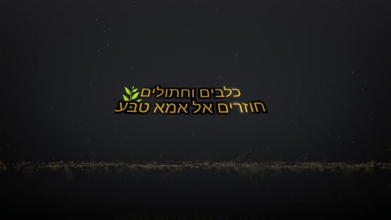 מה כלבים יעדיפו לאכול? פחמימות, חלבון או שומן