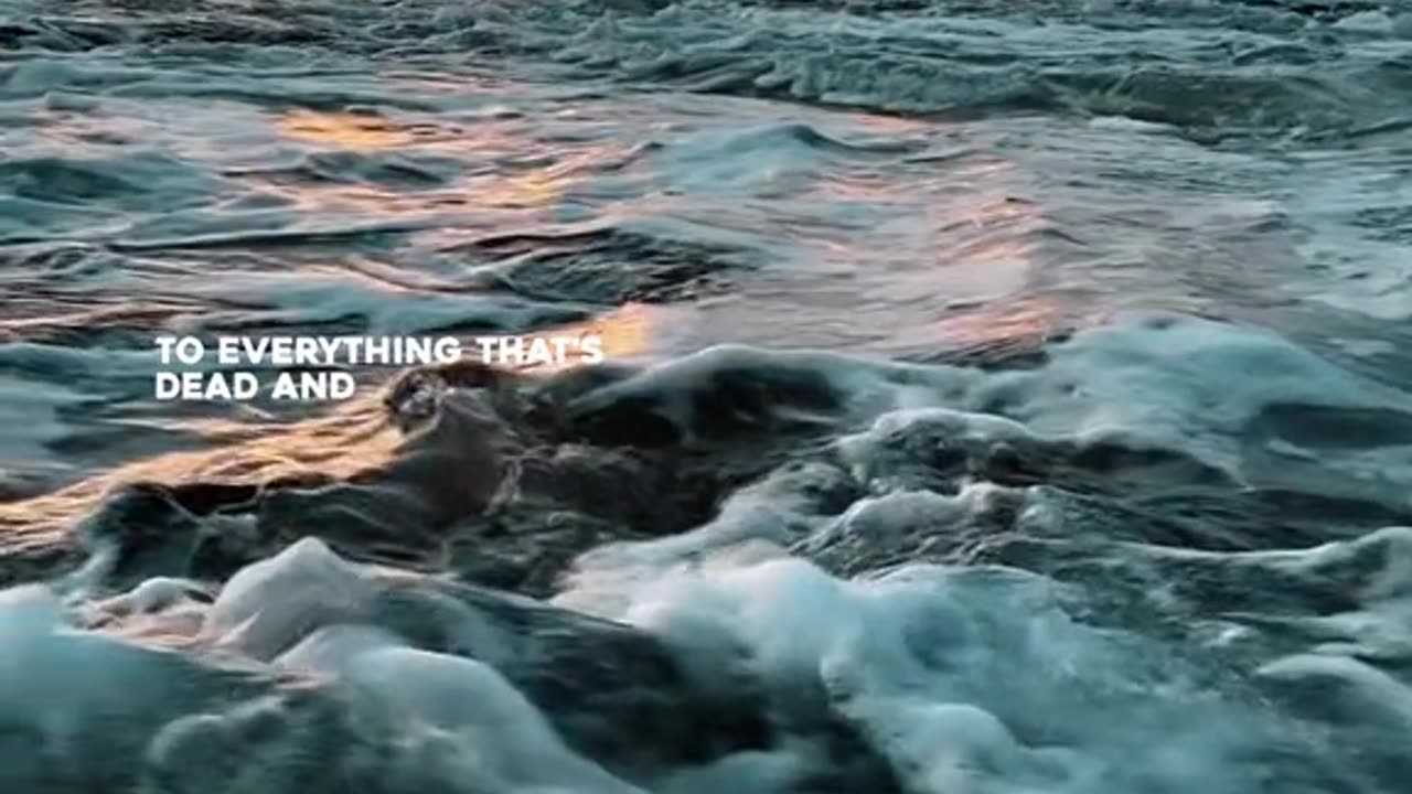 wow