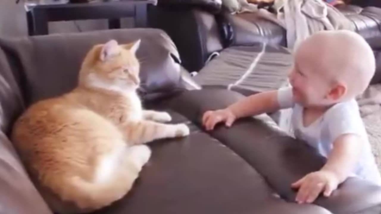 funny cat and babies 🤣🤣