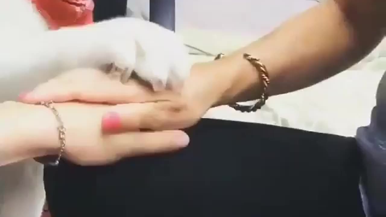 One for all and all for one.