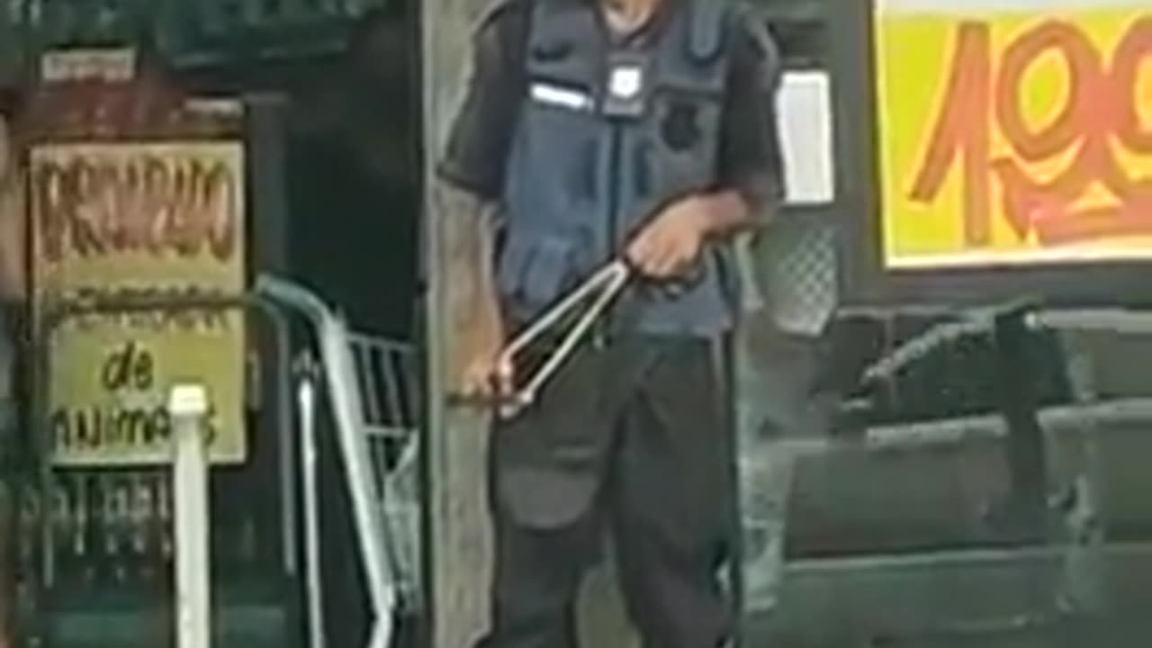 🪶 Funny | Slingshot Sentry: A Guard's Quirky Quest to Protect the Cash Truck! | FunFM