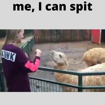 don't tease me, I can spit