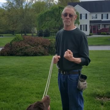 Murphy's 5 Points of the Paw part 4