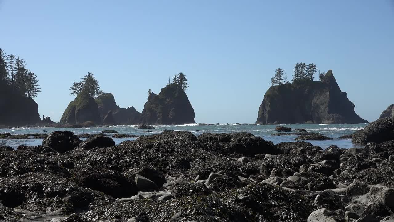 Olympic National Park Beaches, Washington, USA [Amazing Places 4K]