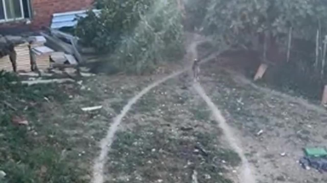 Dog of infinity