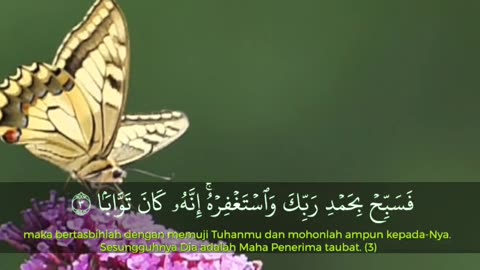 Tilawte Quran surah