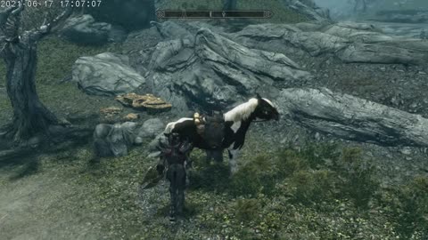 The Elder Scrolls 5 Skyrim Female Orc Karen D'Orc Part 217