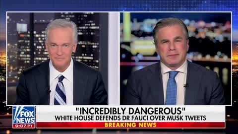 FITTON on FOX: Twitter Changed Rules to Ban Trump!