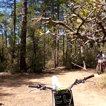 CAT trials 5/7/23 vid 10422a