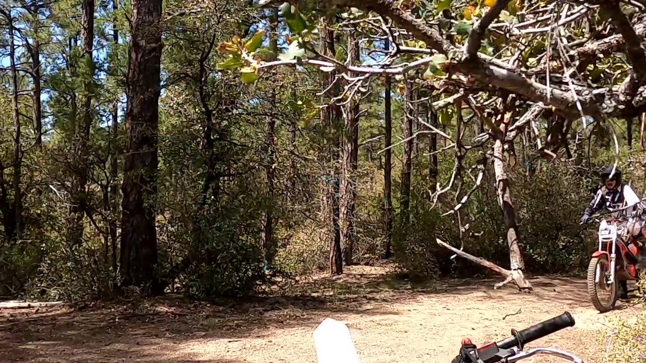 CAT trials 5/7/23 vid 10422a