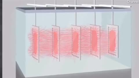 Will you join the pack? 🥩