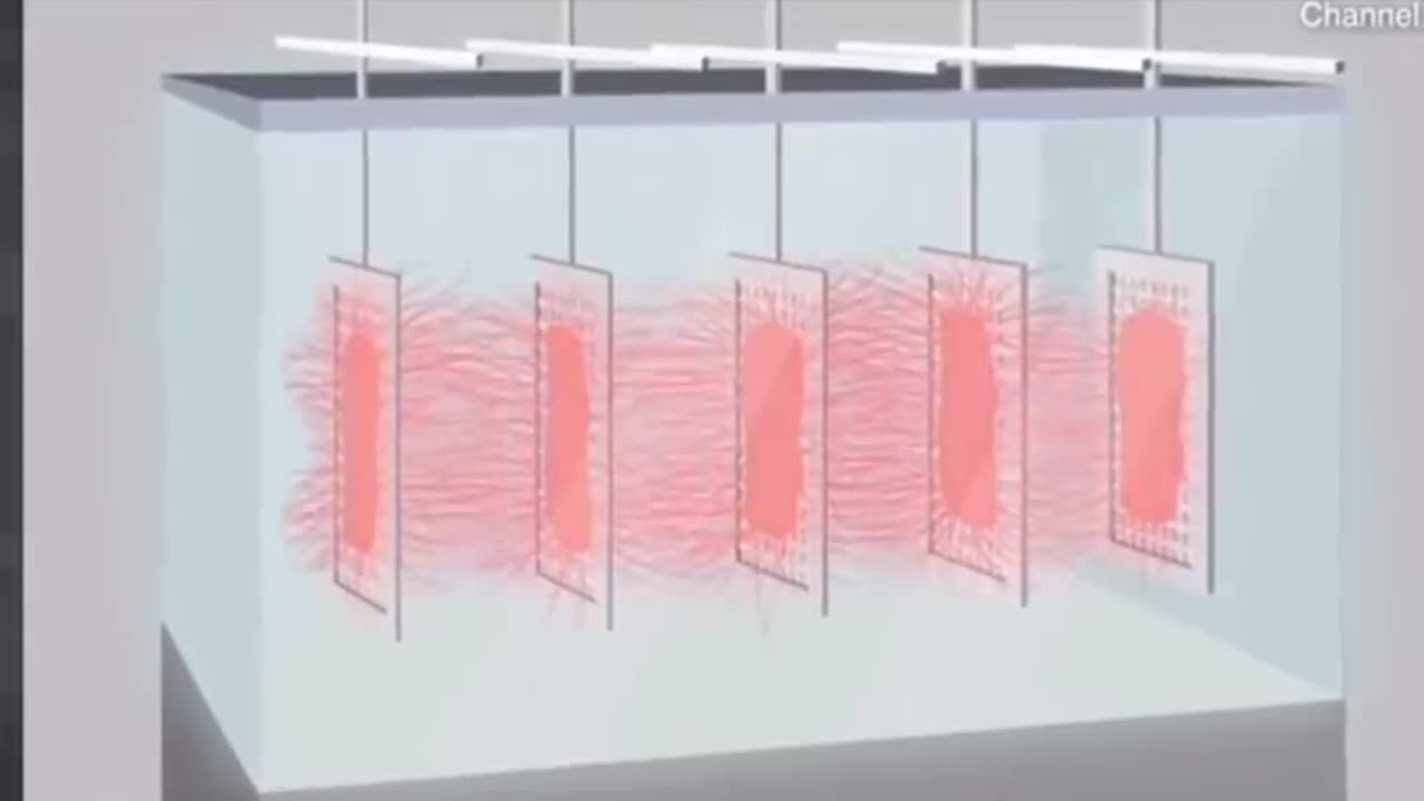 Will you join the pack? 🥩