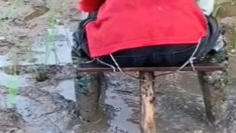 Smart farmer