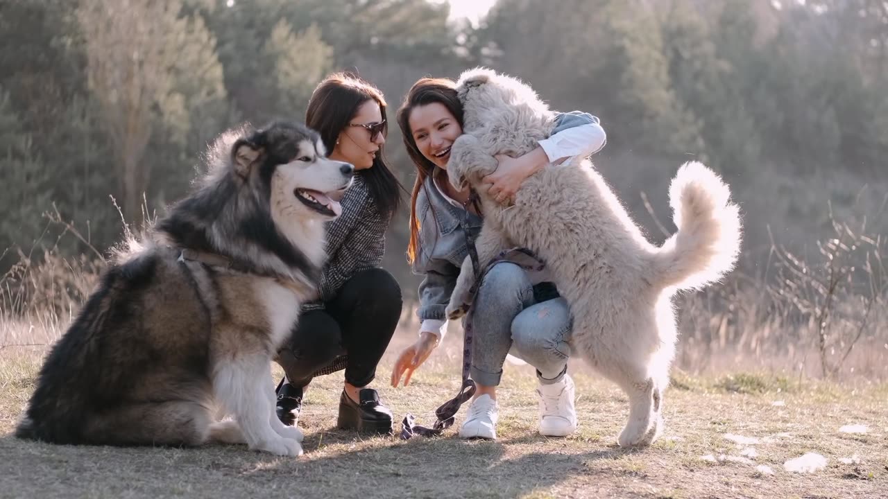 PetTunes - Music for Pets is an awesome