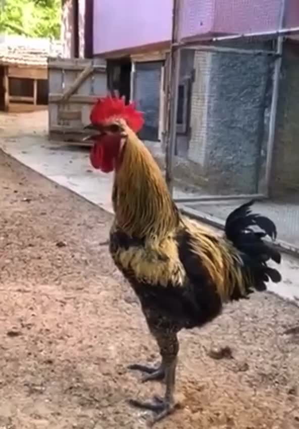 Good Morning Sunday Morning