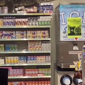 Just chilling at a corner store in Thailand