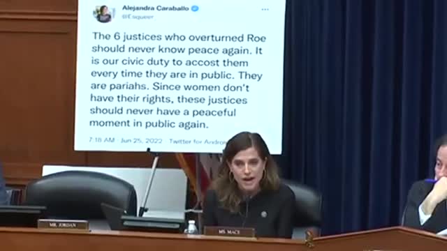 Congresswoman Mace Wrecks Them