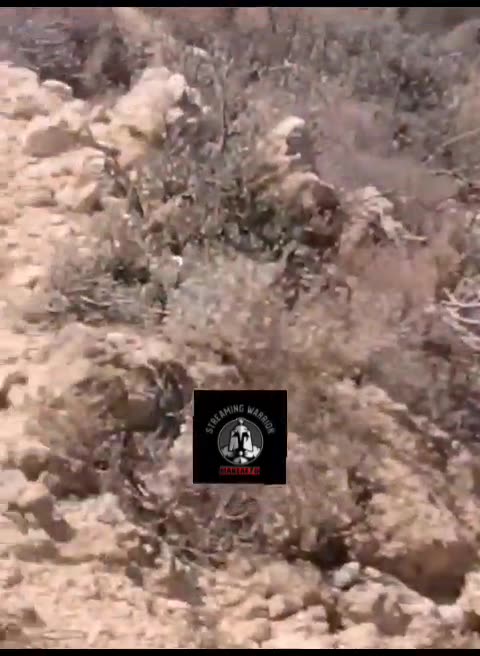 makeleio.gr - Η θάλασσα ξεβράζει πτώματα μεταναστών