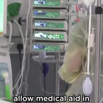 Shorts - USA Looking To Follow Canada