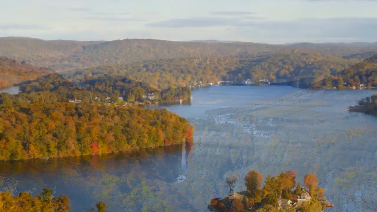 Enchanting Autumn Forests with Beautiful Piano Music