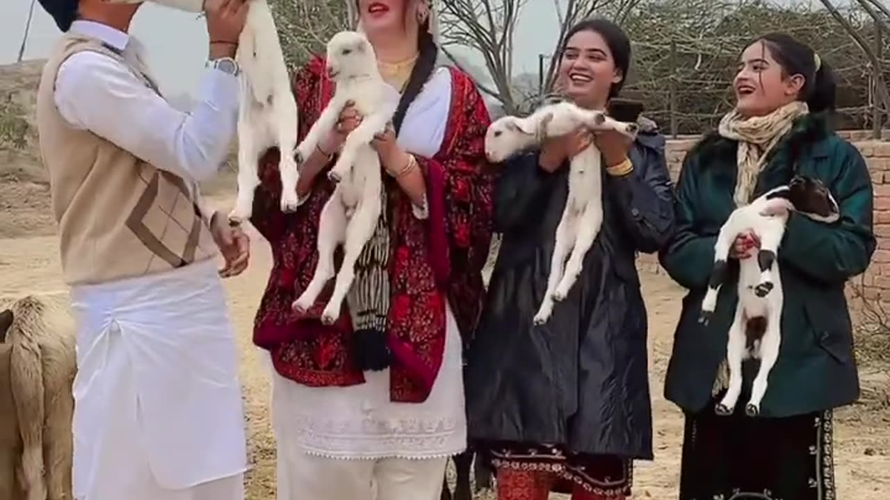 Choli teri khushiyan na #alizaseharvlogs #village #alizasehar