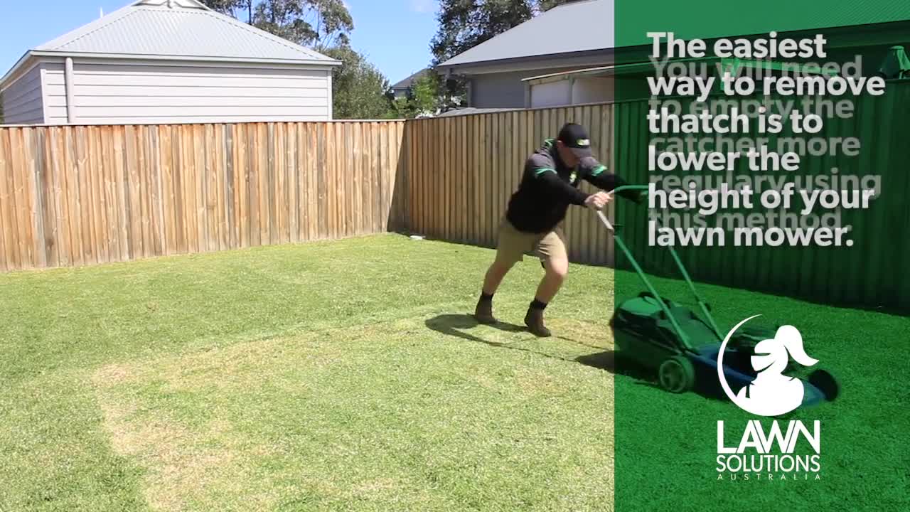 How to remove thatch from your lawn | Dethatching