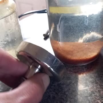 Poisoned water dog BPA BI PISS MAKE MEN A DOLL