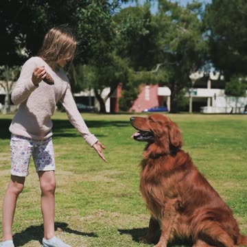 Beautiful dog 🐕👌👌👌👌👌