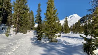 Ascending Snowy Mount Hood National Forest – Oregon – 4K