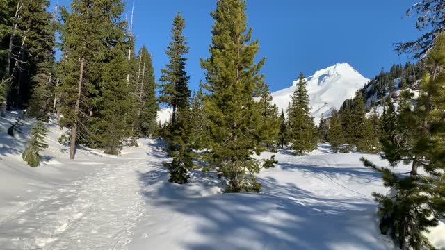 Ascending Snowy Mount Hood National Forest – Oregon – 4K