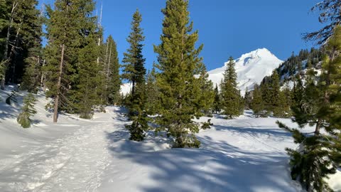 Ascending Snowy Mount Hood National Forest – Oregon – 4K