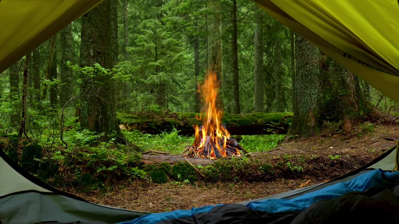 Tent Campfire Ambience: Cozy Campfire Sounds: Nature Sounds