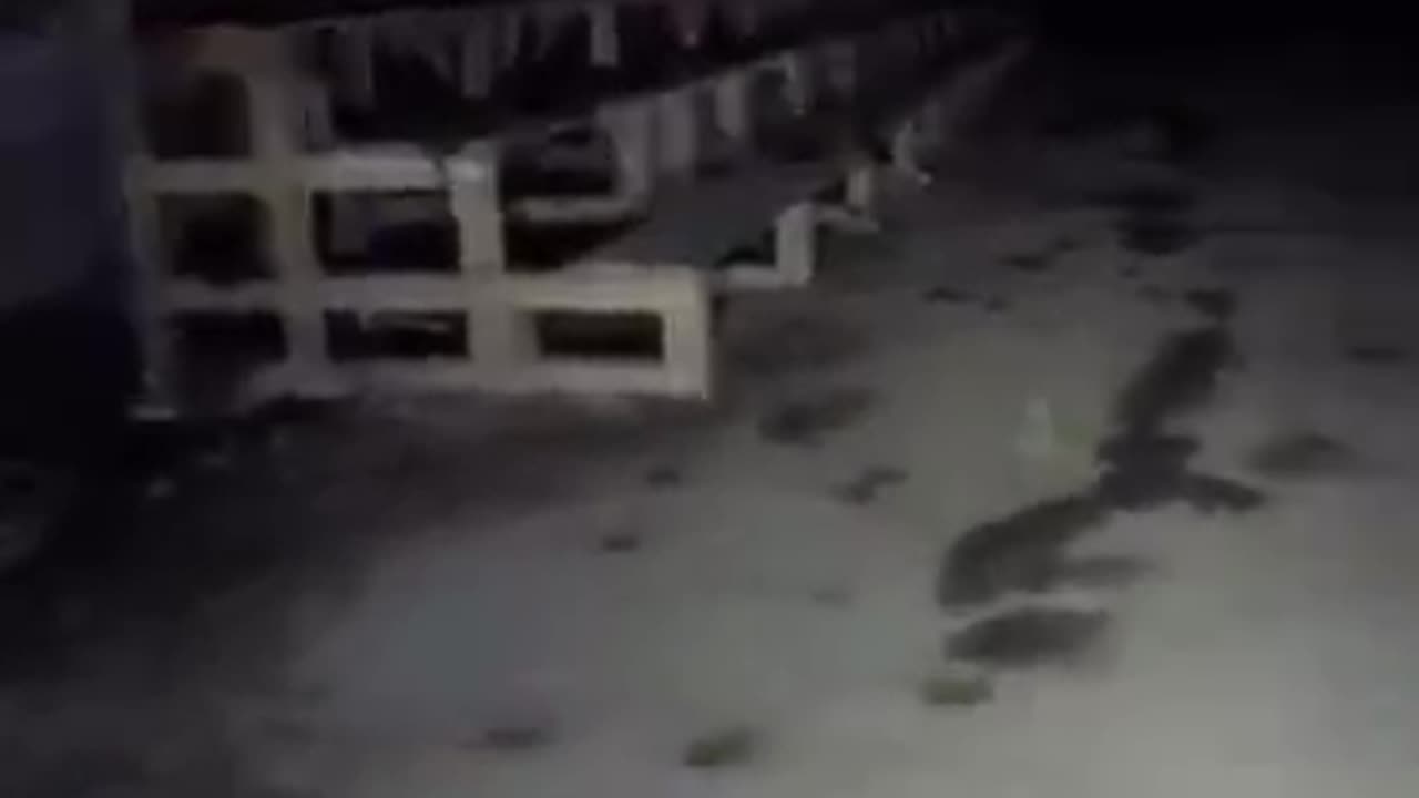 Creepy Freemasonic Cave Discovered, Children's Shoes?